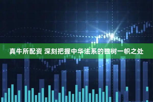 真牛所配资 深刻把握中华法系的独树一帜之处