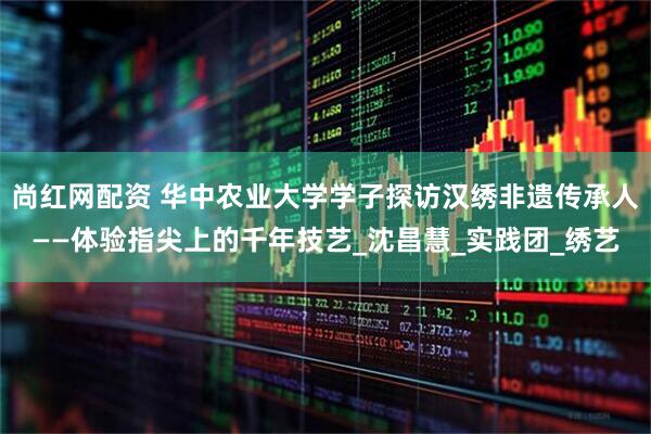 尚红网配资 华中农业大学学子探访汉绣非遗传承人——体验指尖上的千年技艺_沈昌慧_实践团_绣艺