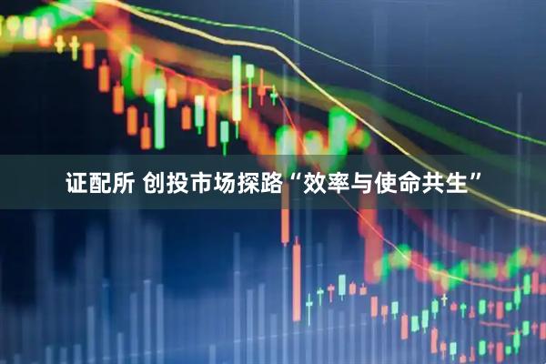证配所 创投市场探路“效率与使命共生”